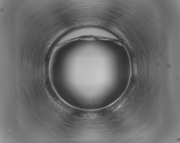 X0000075360444200609251106