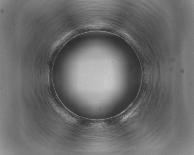 X0000075360446200609251106