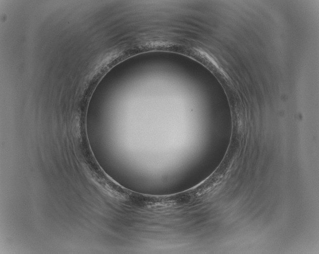 X0000075360447200609251106