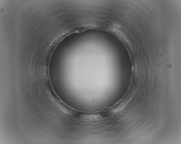 X0000075360449200609251106