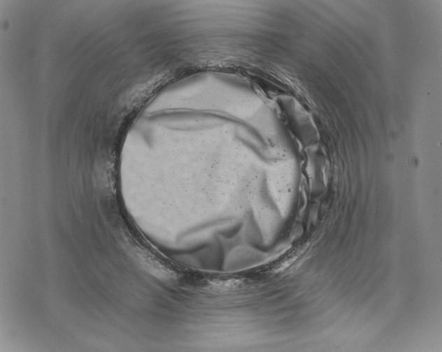 X0000075360450200609251106