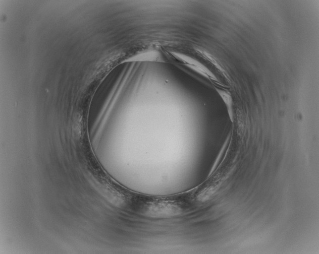 X0000075360451200609251106