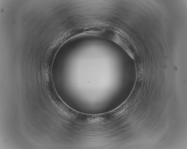 X0000075360452200609251106