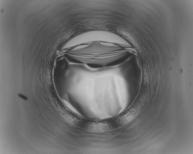 X0000075360453200609251106