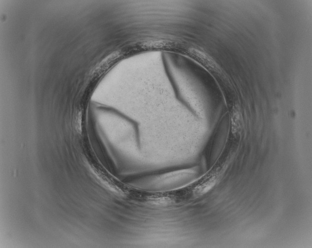 X0000075360454200609251106