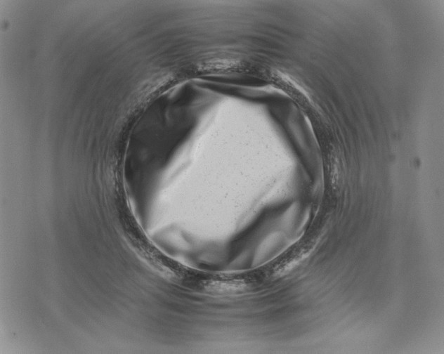 X0000075360455200609251106