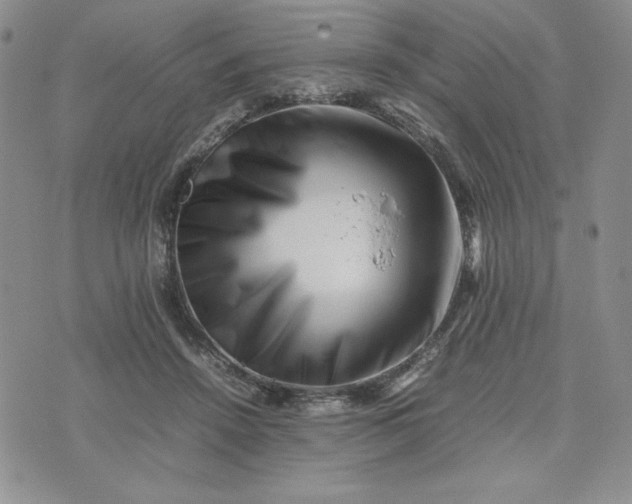 X0000075360456200609251106