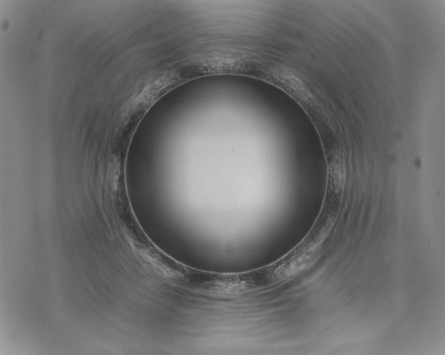 X0000075360458200609251106