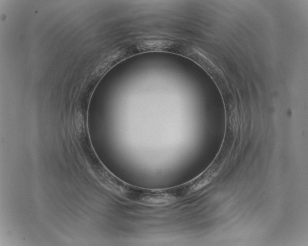 X0000075360459200609251106