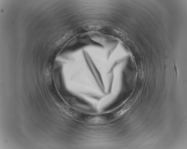 X0000075360460200609251106