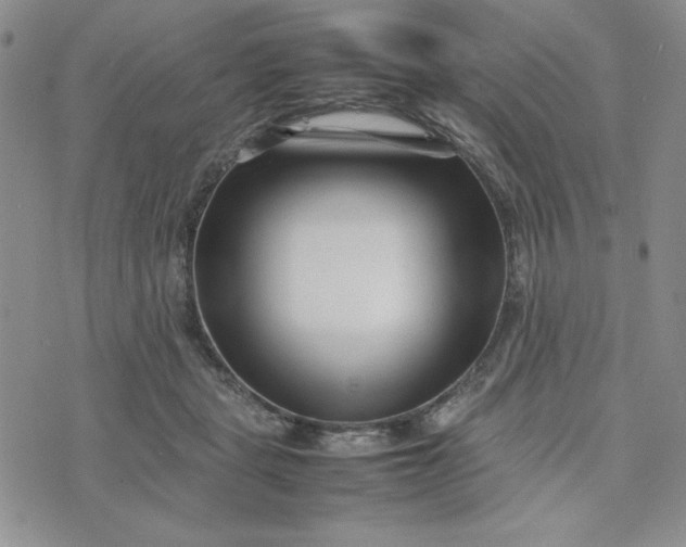 X0000075360461200609251106