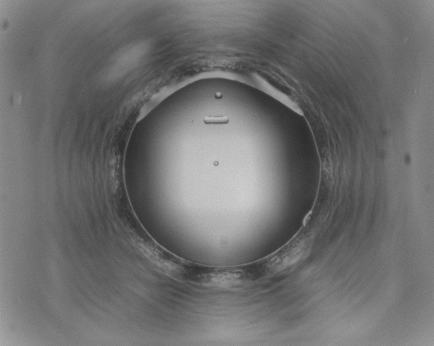 X0000075360462200609251106