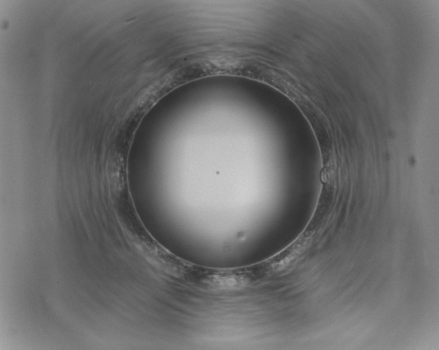 X0000075360464200609251106