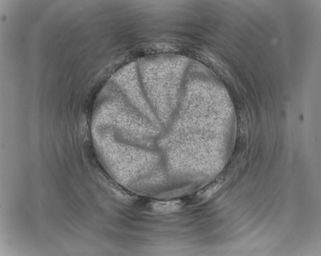 X0000075360465200609251106