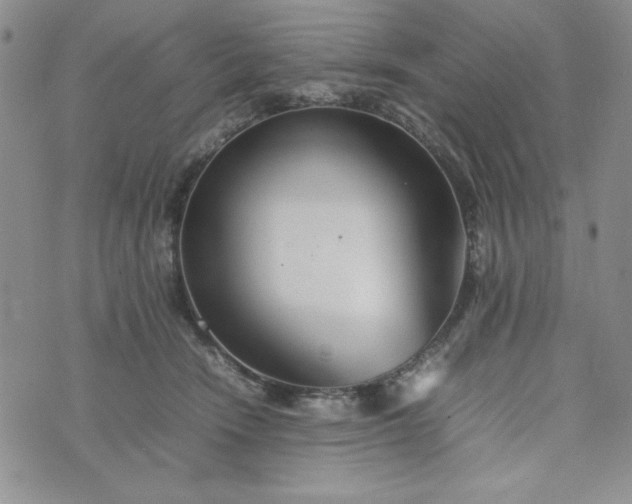 X0000075360466200609251106