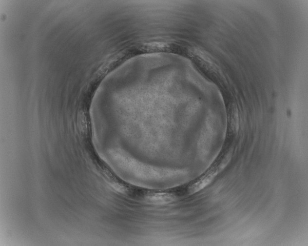 X0000075360467200609251106