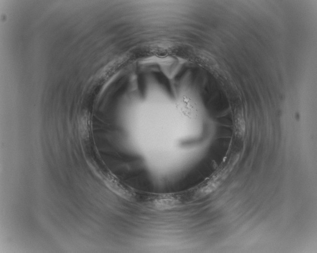 X0000075360468200609251106