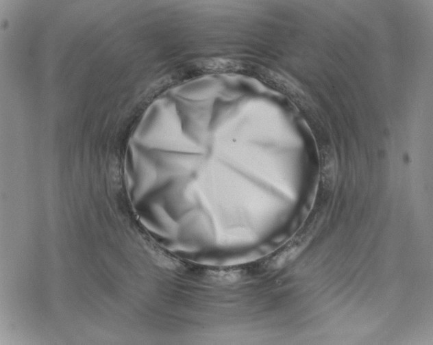 X0000075360469200609251106