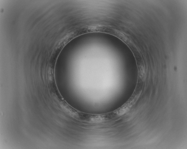 X0000075360470200609251106