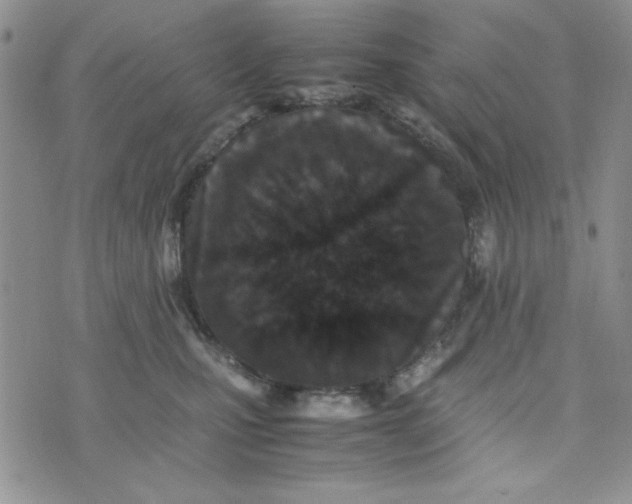 X0000075360471200609251106