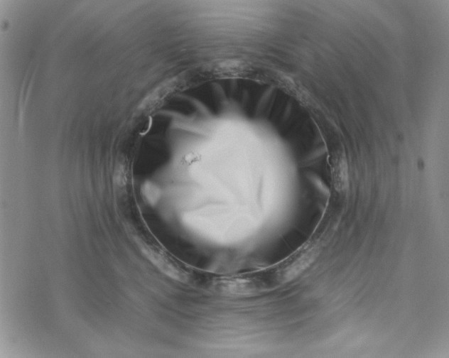 X0000075360472200609251106