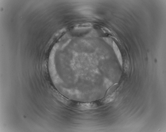 X0000075360473200609251106