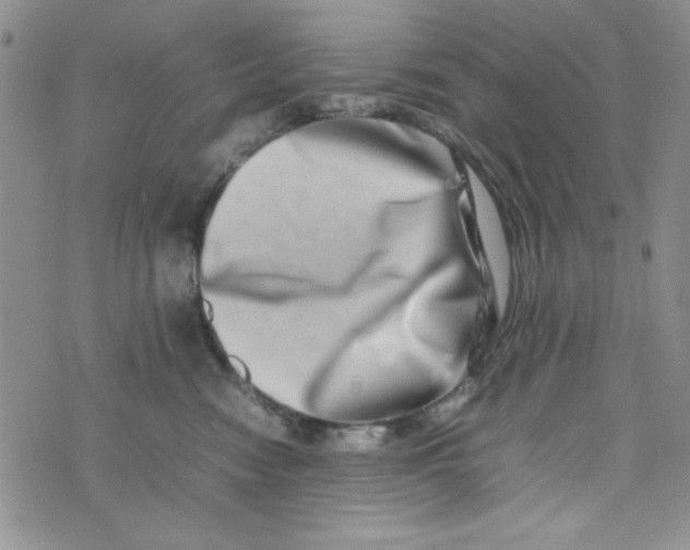 X0000075360474200609251106