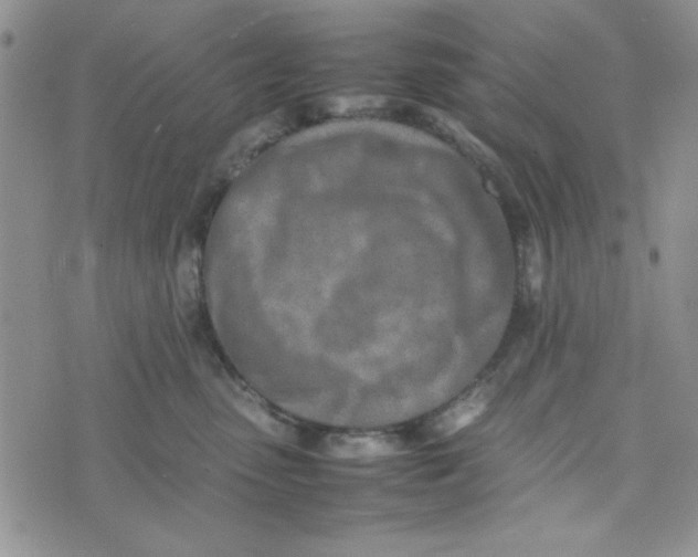 X0000075360475200609251106