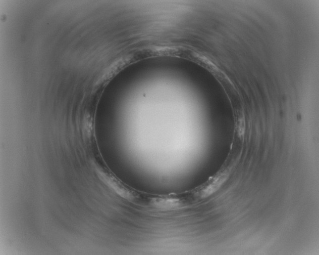 X0000075360476200609251106