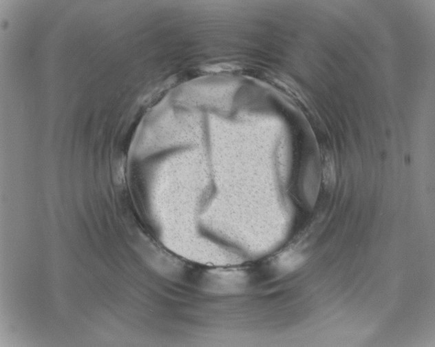 X0000075360477200609251106