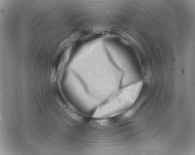 X0000075360478200609251106