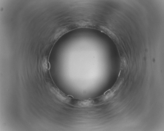 X0000075360479200609251106