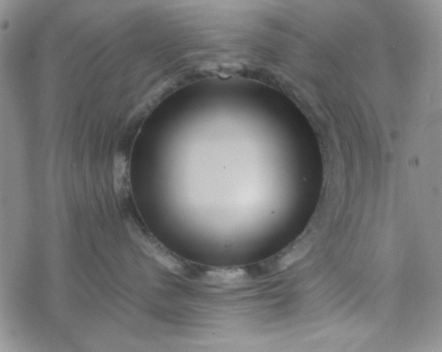 X0000075360480200609251106