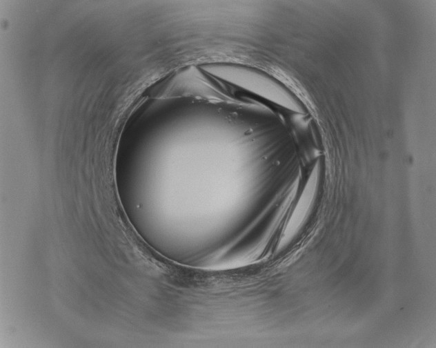 X0000075360481200609251106