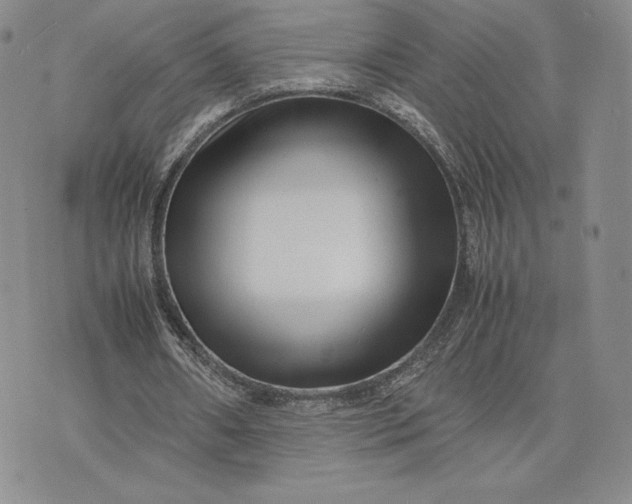 X0000075360482200609251106