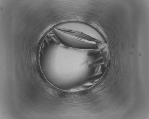 X0000075360483200609251106