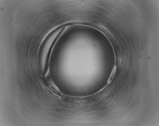 X0000075360484200609251106