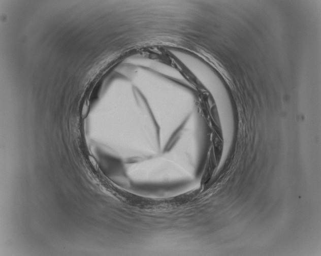 X0000075360485200609251106