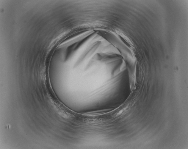 X0000075360486200609251106