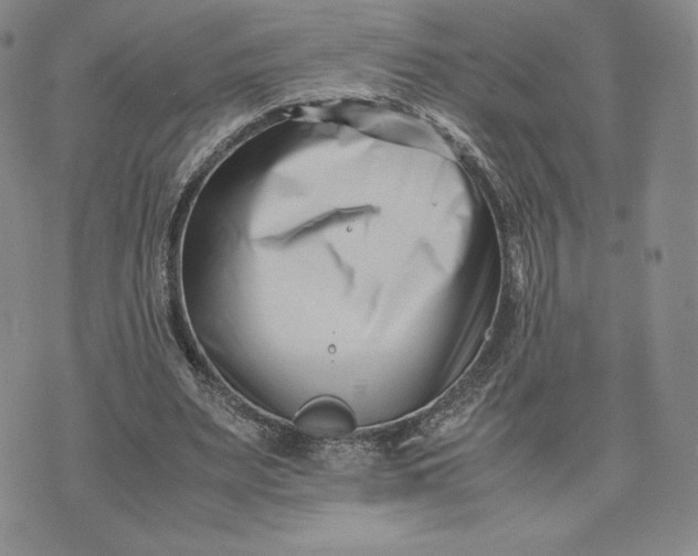 X0000075360487200609251106