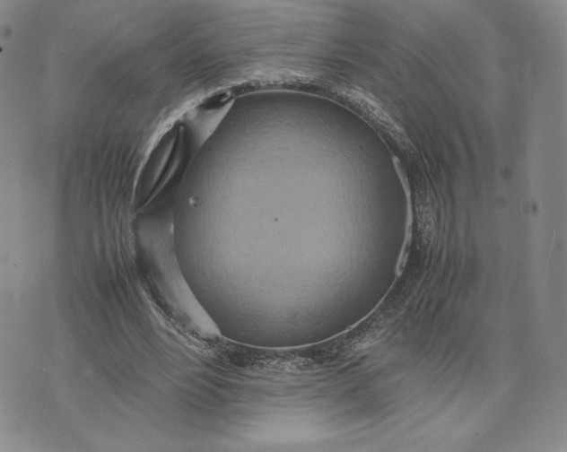 X0000075360488200609251106