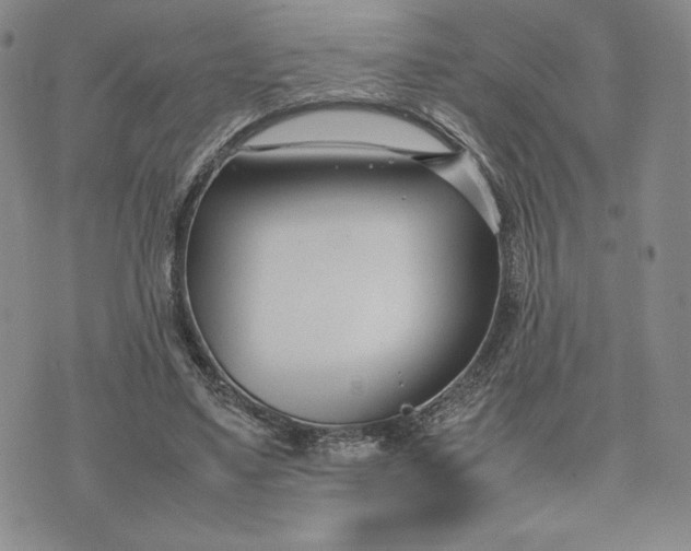 X0000075360491200609251105