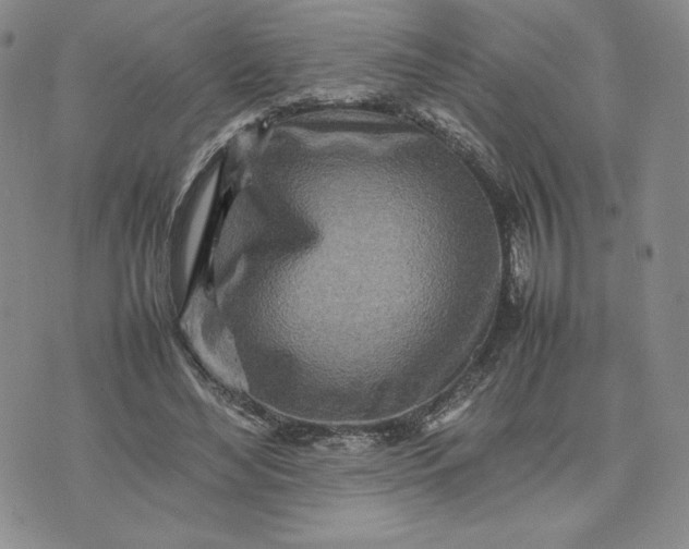 X0000075360492200609251105