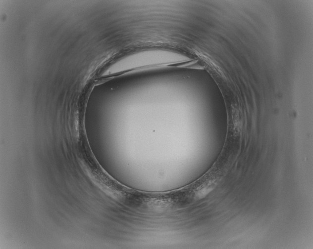 X0000075360494200609251105