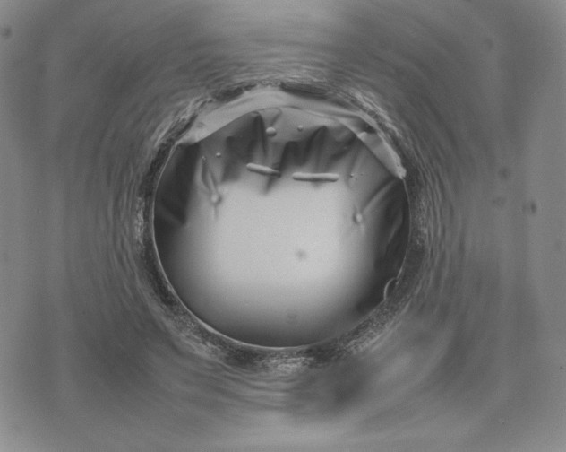 X0000075360495200609251105