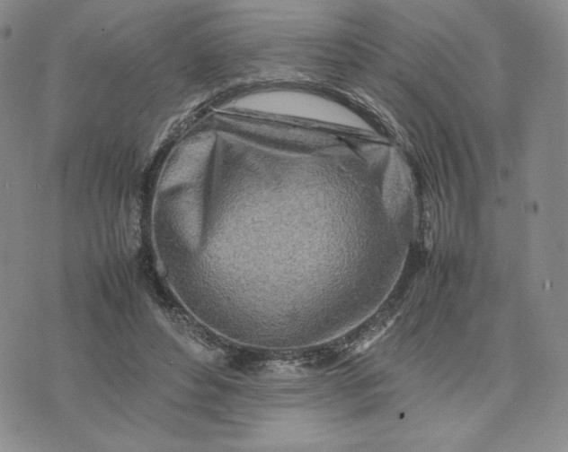 X0000075360496200609251105