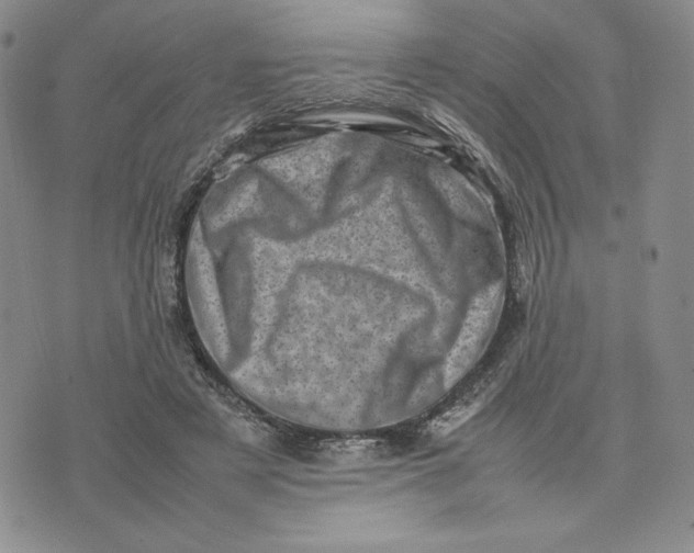 X0000075360497200609251105