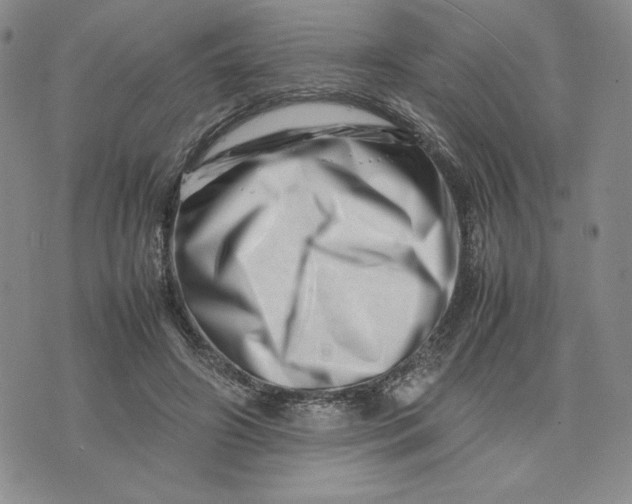 X0000075360498200609251105