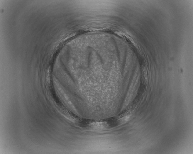 X0000075360499200609251105