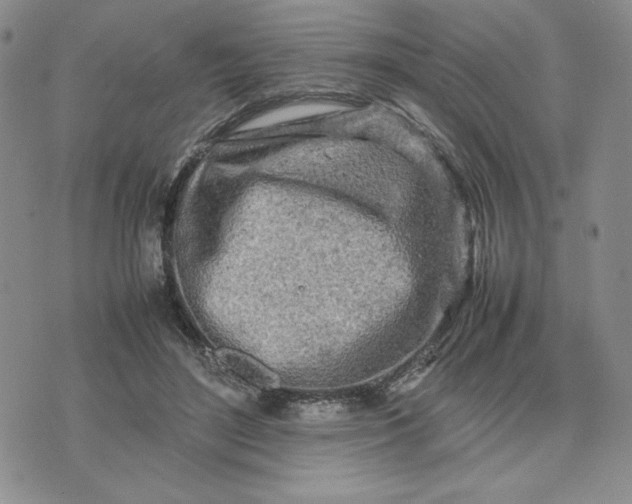 X0000075360500200609251105